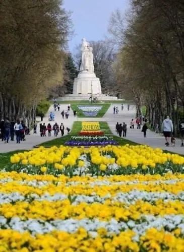 Apartment City-centre 1